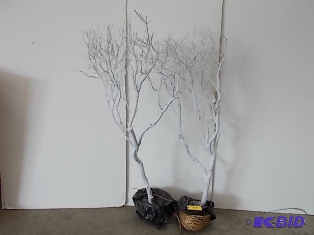lot 77 image: (2)5 Manzanita Trees...