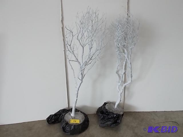 lot 78 image: (2)5 Manzanita Trees...