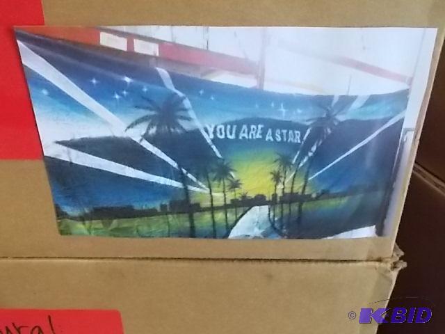 lot 81 image: Youre A Star Mural, 10 x 20...