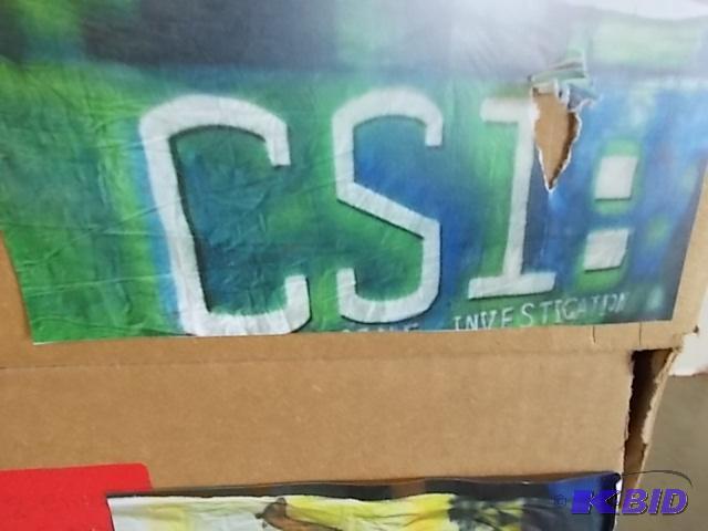 lot 86 image: CSI Mural, 10 x 20...