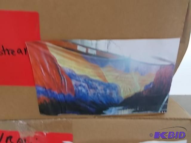 lot 99 image: Canyon With Stream Mural 10 x 20...