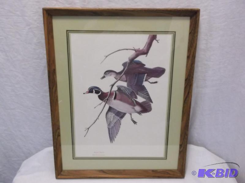 Beautiful Wood Duck print by Wm Zimmerman in ...