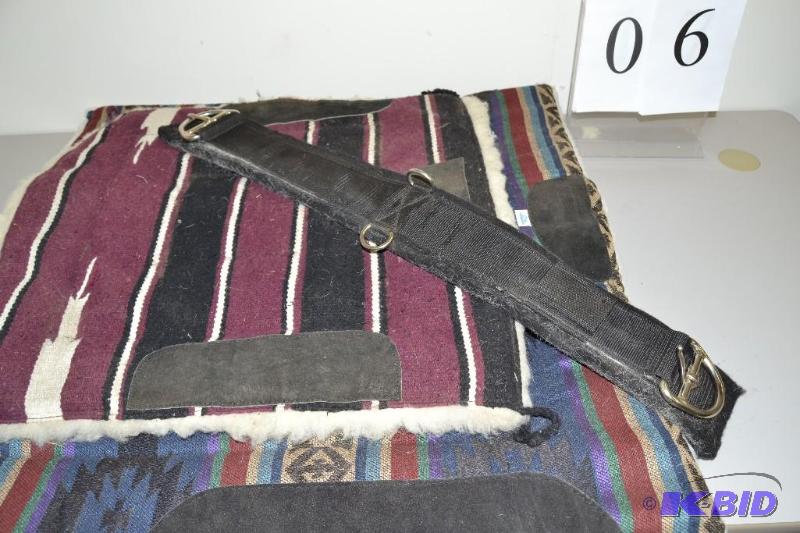 lot 6 image: Saddle blanket