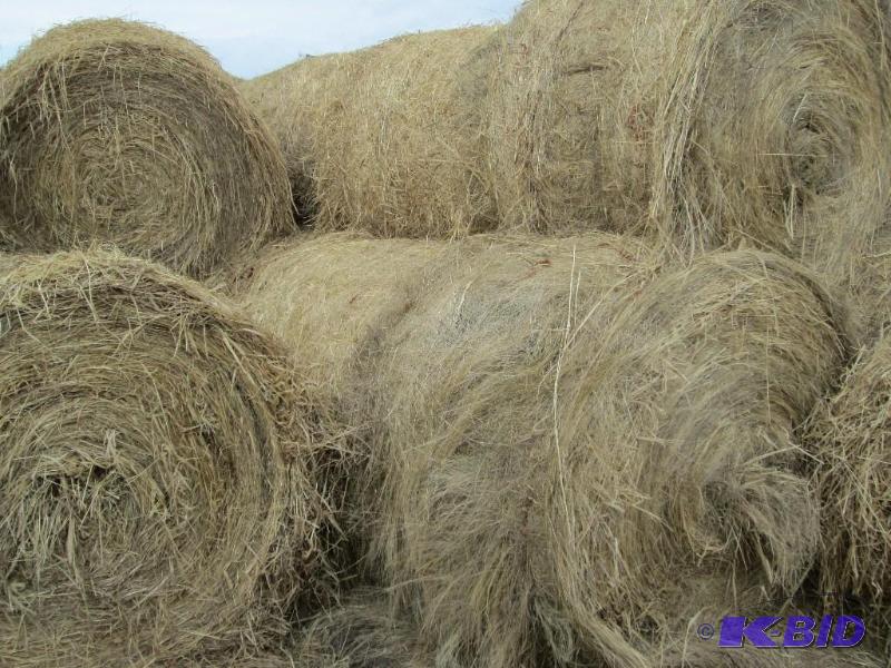 5 Round Bails