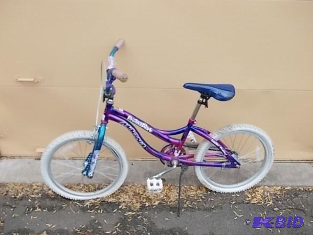 Magna Precious Pearls Girls Bike (Flat Tires)...