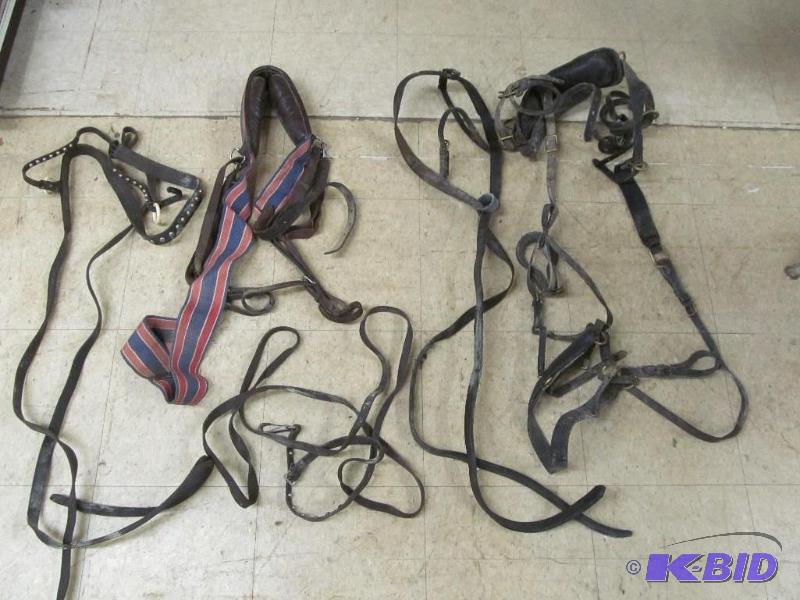 Horse Tack