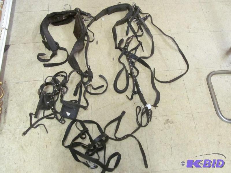 Horse Tack