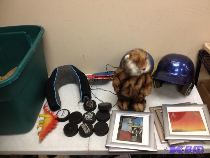 Lot Of Items, Hockey Pucks...