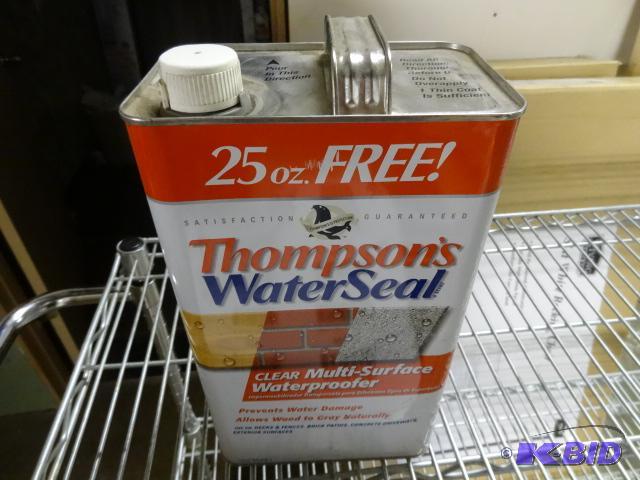 lot 203 image: NEW Thompsons Water Seal  Clear  25oz extra F...