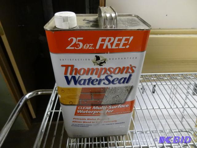 lot 204 image: NEW Thompsons Water Seal  Clear  25oz extra F...