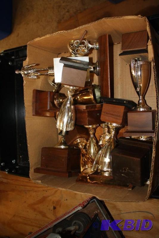 Box Lot of a variety of Trophys...