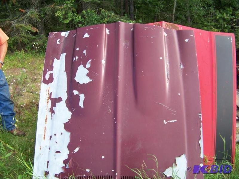 Fiberglass hood with scoops
