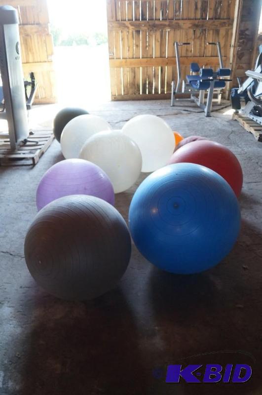 Exercise balls