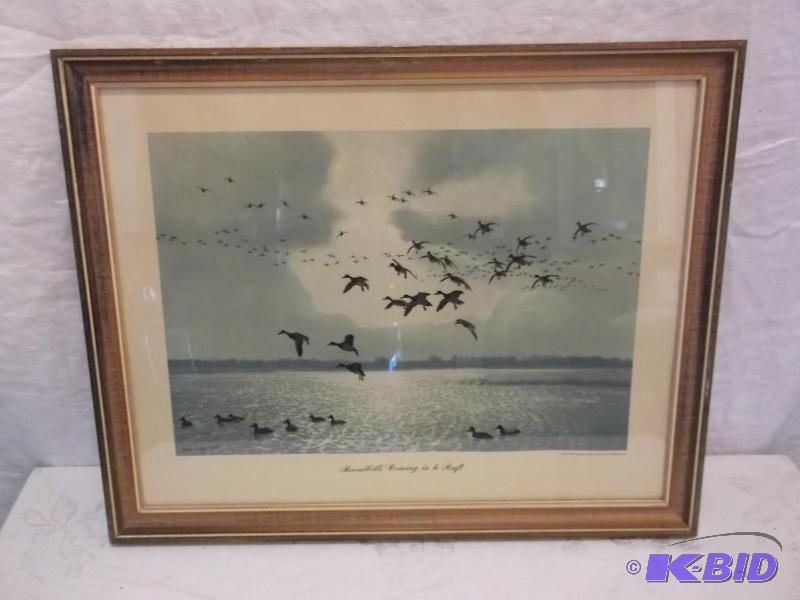 lot 18 image: Vintage print Broadbills Coming in to Raft si...