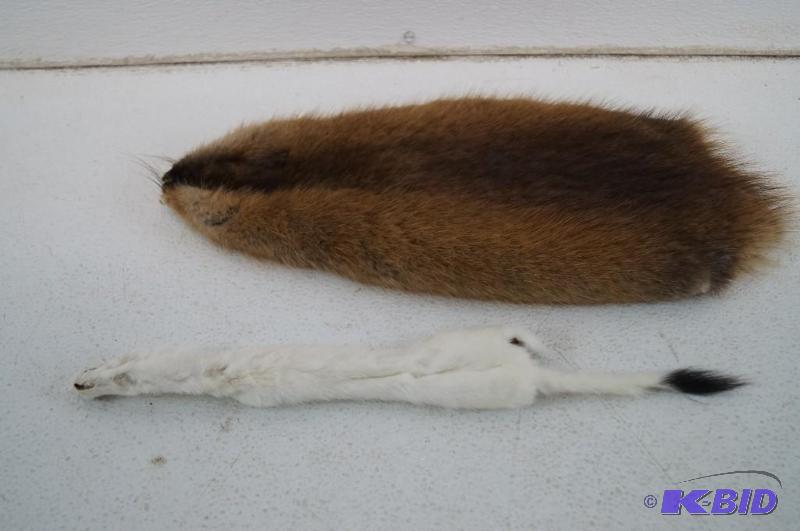 animal pelts