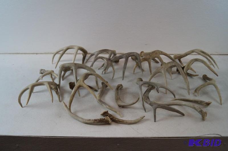 deer sheds