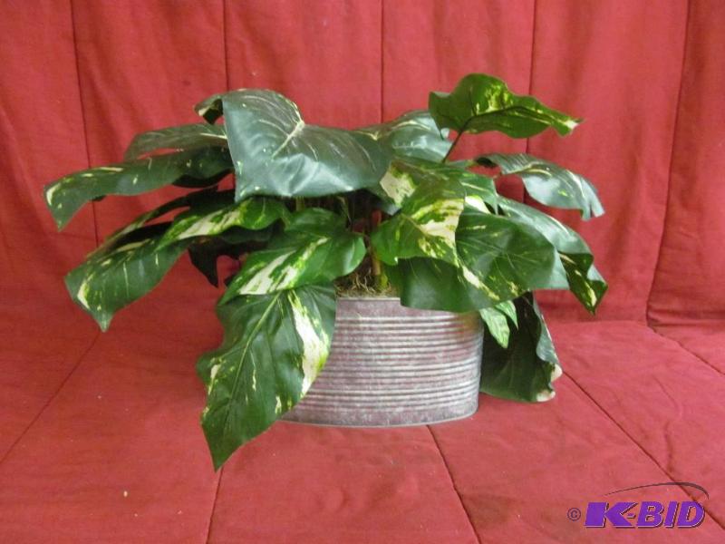 Decor