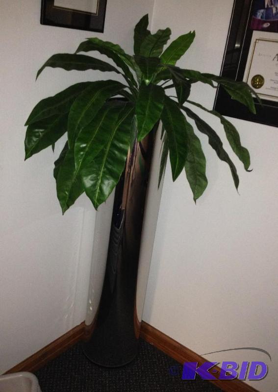 Tall Office Plant