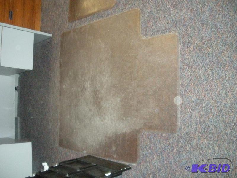 Floor and Carpet Mat