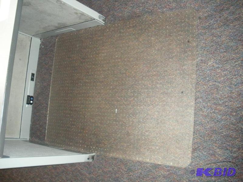 Floor and Carpet Mat
