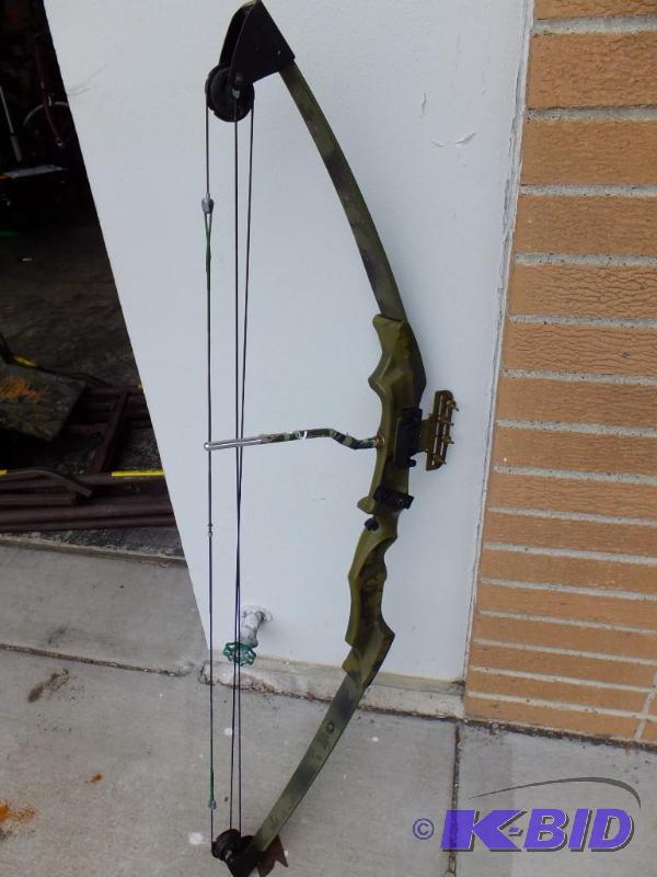 Compound Bow