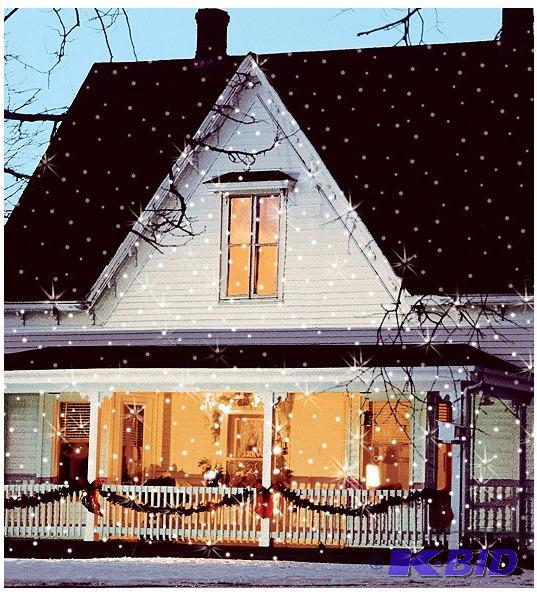 lot 53 image: Flurries Snowflake Light Projector
