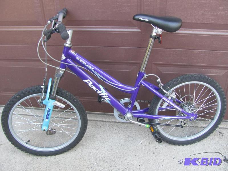 lot 4 image: Make your favorite young girl happy with this...
