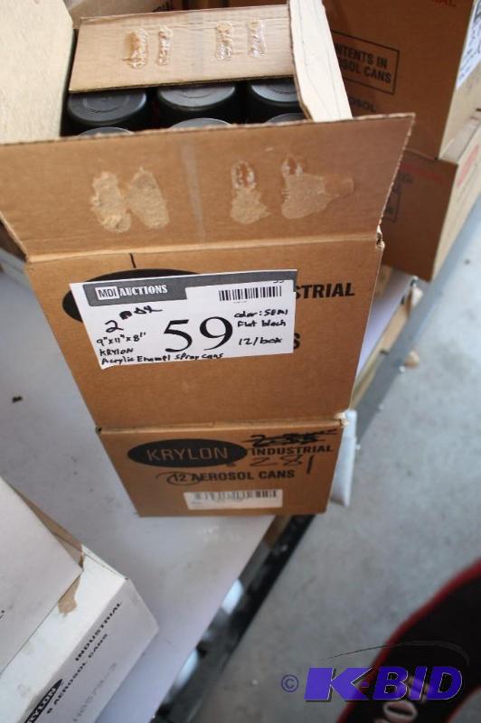 lot 59 image: Lot of (2)Boxes of Krylon brand Acrylic Ename...