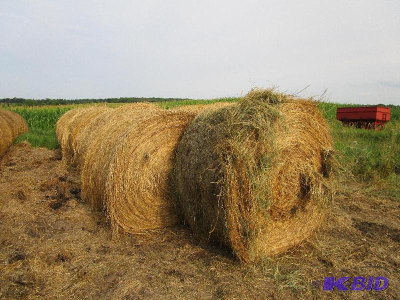 25 bales of meadow hay
