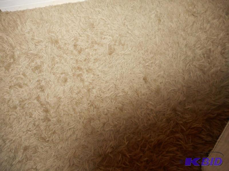 lot 120 image: Shag Rug