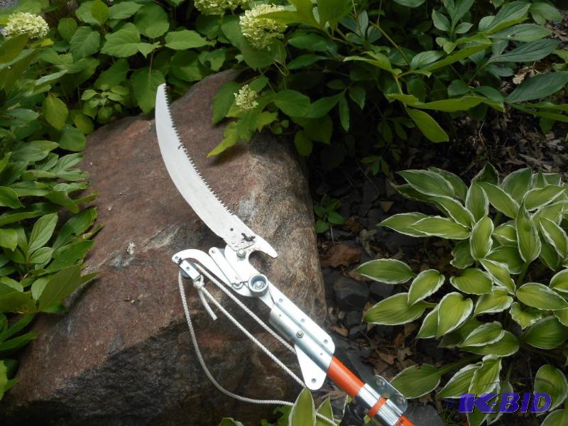 lot 145 image: Pole Tree Trimmer