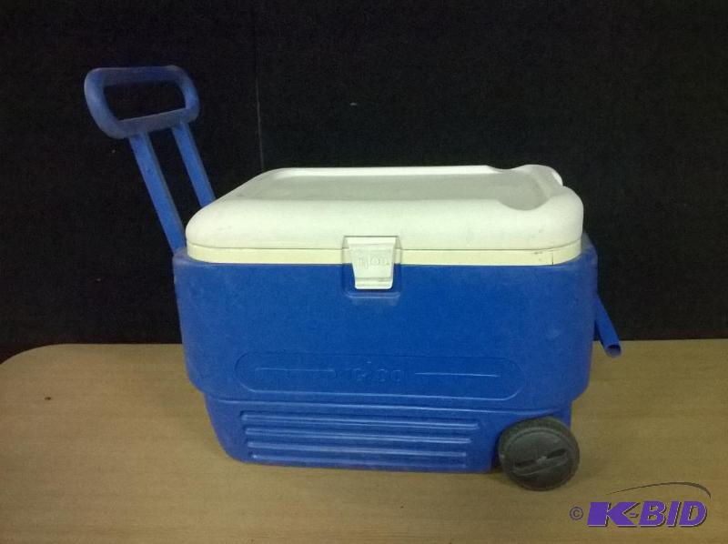 Cooler Door