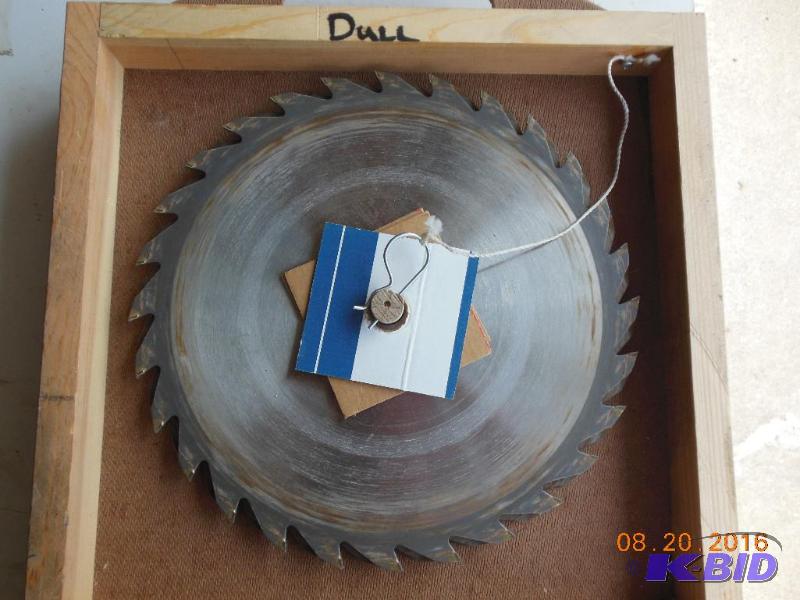Saw blade carrier for 10&quot blades. 2 side...