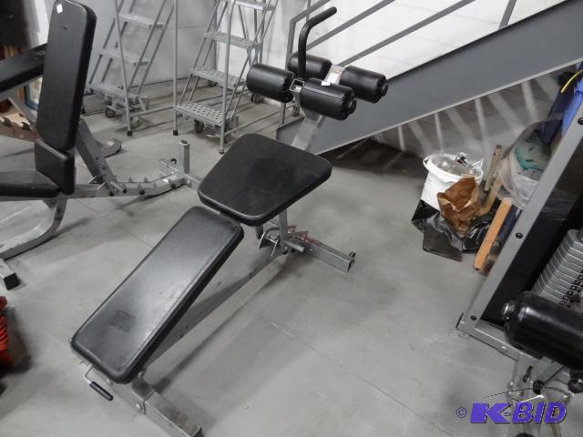 lot 135 image: Life fitness sit up machine...