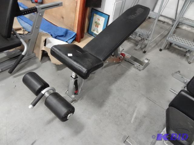 lot 137 image: Hoist sit up bench...