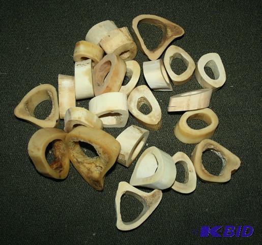 lot 3234 image: Cow Bone cuts...
