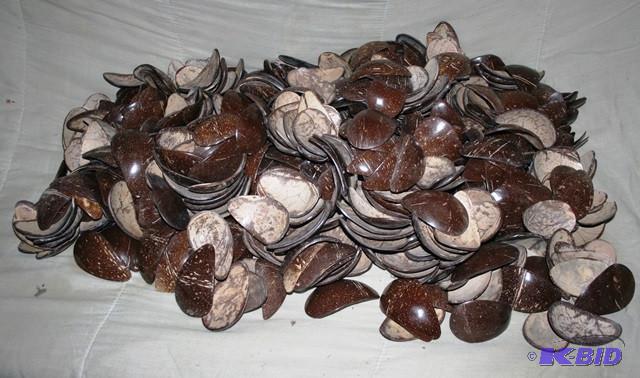 lot 3239 image: Coconut oval shapes for hand bag decoration...