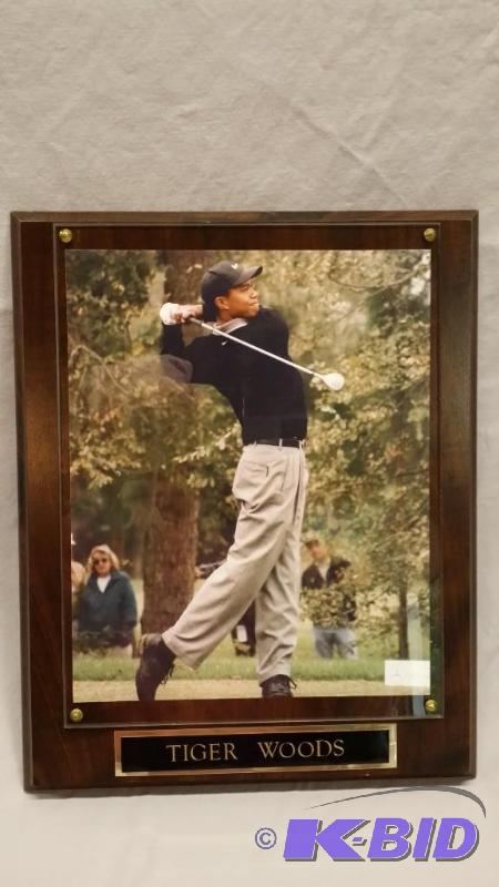 10.5 x 13 Wood plaque of Tiger Woods...