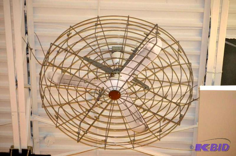 lot 81 image: Ct 8&nbspEnvirofan Heavy Duty Commercial Cei...