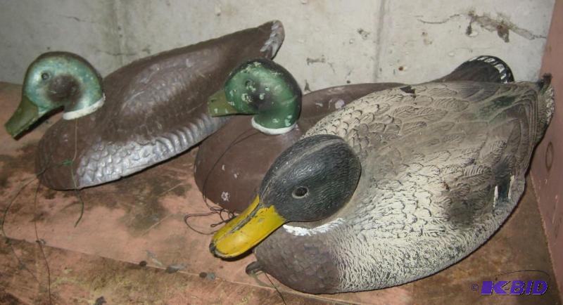 lot 019 image: Duck Decoys