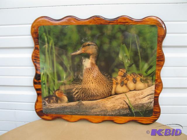Duck and Ducklings picture, 23x19...