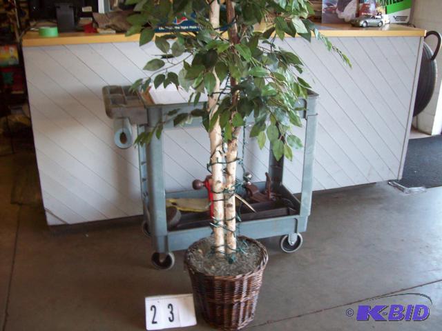 Lighted Accent Tree With Brown Wicker Pot, 6...