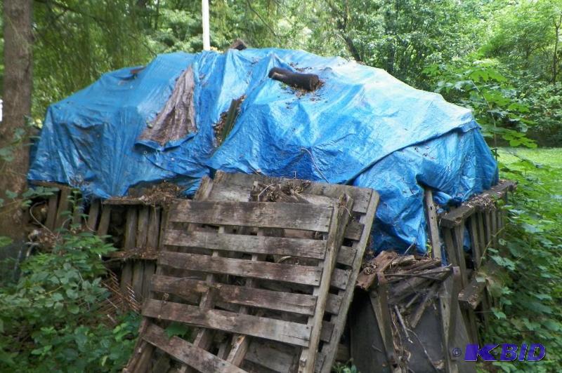lot 19 image: 3rd Firewood Wood under blue tarp