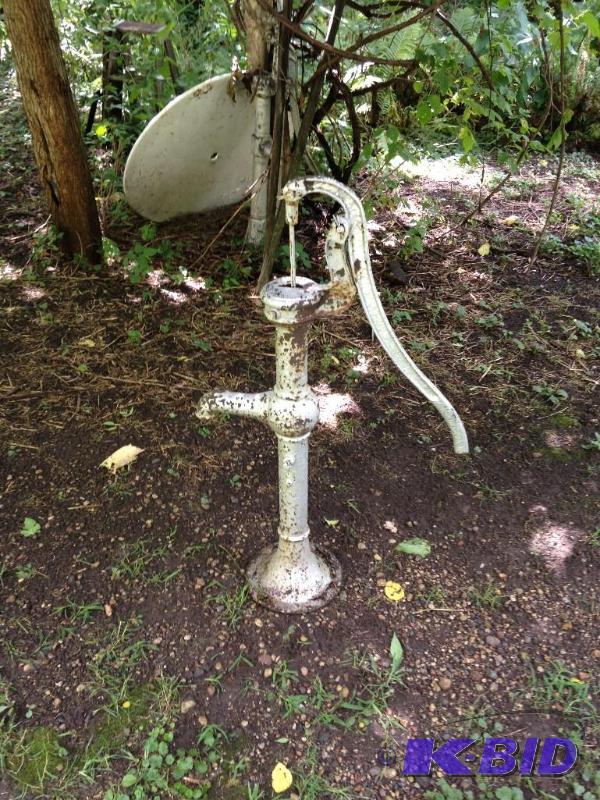 lot 202 image: 3 water pumps