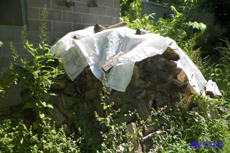 lot 21 image: 4th Firewood Pile Smaller Firewood Pile
