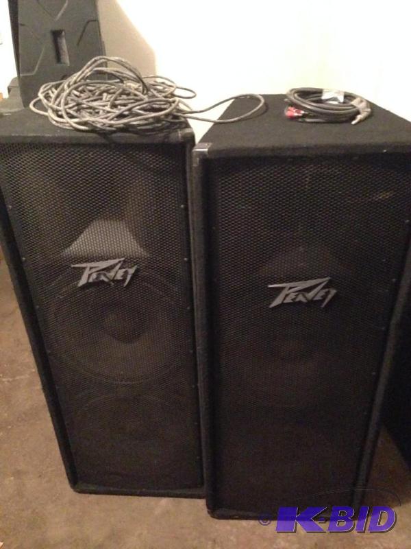 lot 16 image: (2) Tall Peavey Speakers PV215 2 good  ...