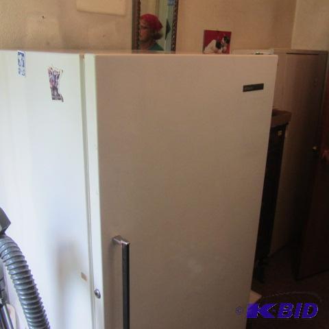 lot 221 image: Upright Freezer