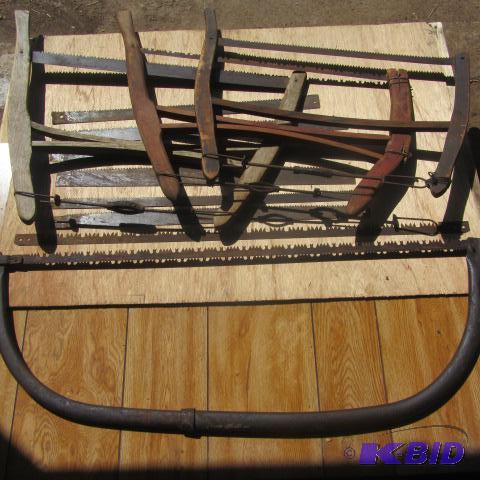 Buck and Brush Saws