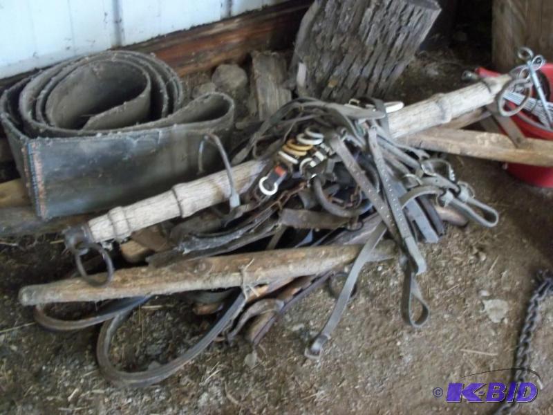 lot 44 image: Endless belt, Horse bridal and ox harness...