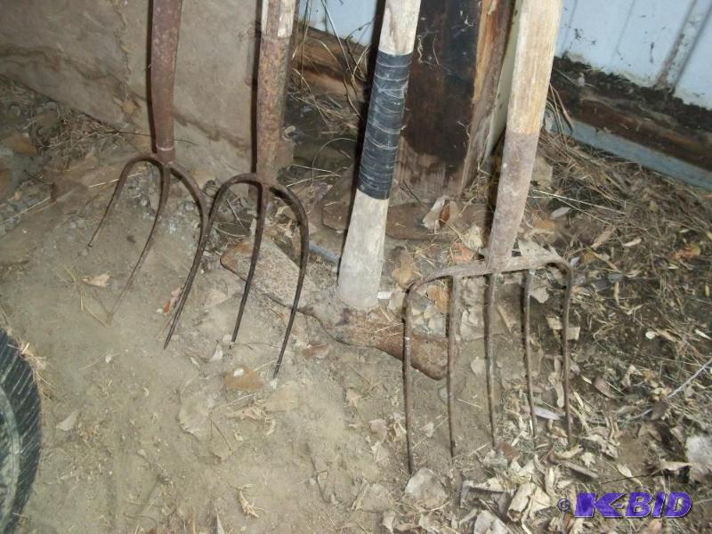 lot 66 image: &nbsp3 Pitch forks and 1 pick axe...